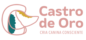 Castro de Oro